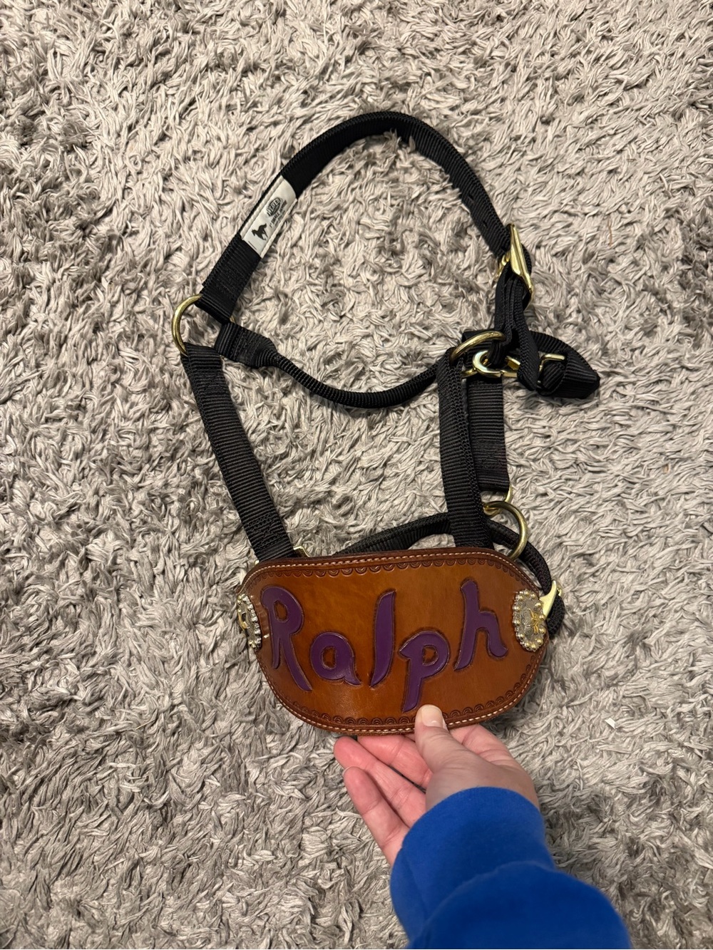 Weaver Black Nylon Halter with custom leather noseband